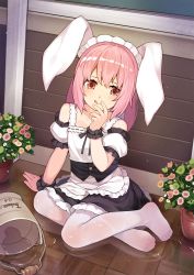 Rule 34 | 1girl, :q, absurdres, animal ears, apron, arm support, bare shoulders, blush, breasts, bucket, closed mouth, commentary request, detached sleeves, dress, fake animal ears, flower, frilled dress, frills, full body, hand to own mouth, highres, licking lips, long hair, looking at viewer, maid, maid apron, maid headdress, pantyhose, pink hair, plant, potted plant, puffy short sleeves, puffy sleeves, rabbit ears, red eyes, short sleeves, sitting, small breasts, smile, solo, tongue, tongue out, tsubasa tsubasa, water, wet, wet clothes, white pantyhose, wristband, yokozuwari