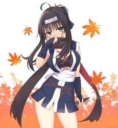 Rule 34 | 1girl, ahoge, arm at side, autumn leaves, black hair, black scarf, blue gloves, blue kimono, breasts, cleavage, commentary request, covering own mouth, cowboy shot, curvy, falling leaves, floating hair, gloves, green eyes, hair between eyes, hand up, head tilt, highres, hitachi mako, holding, holding weapon, japanese clothes, kimono, kunai, large breasts, leaf, looking at viewer, maple leaf, ninja, partially fingerless gloves, sash, scarf, senren banka, shirayamakoma, short hair with long locks, short kimono, simple background, sleeveless, sleeveless kimono, solo, standing, straight hair, thighs, weapon, white background, white sash, wind, wind lift