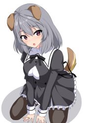 Rule 34 | 1girl, :o, animal ears, arm support, assault lily, black ribbon, black skirt, breasts, brown pantyhose, buttons, commentary request, cropped jacket, dog ears, dog girl, dog tail, frilled skirt, frills, grey hair, gungun (hakutou7887), hair between eyes, hata matsuri, head tilt, high-waist skirt, highres, jewelry, juliet sleeves, kemonomimi mode, kneeling, light blush, long sleeves, looking at viewer, medium breasts, medium hair, miniskirt, neck ribbon, pantyhose, parted lips, pink eyes, puffy sleeves, ribbon, ring, school uniform, simple background, skirt, solo, tail, v arms, white background, yurigaoka girls academy school uniform
