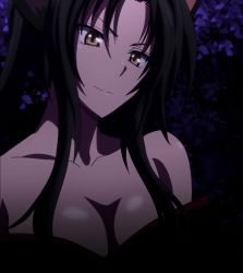 Rule 34 | 10s, 1girl, bare shoulders, black hair, breasts, cleavage, female focus, high school dxd, highres, kuroka, kuroka (high school dxd), large breasts, night, smile, solo, stitched, third-party edit, yellow eyes