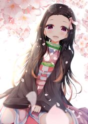 Rule 34 | 1girl, :d, aties20, bamboo, bit gag, black hair, blurry, blurry foreground, blush, brown hair, checkered sash, commentary request, depth of field, dutch angle, fangs, flower, forehead, gag, gag around neck, unworn gag, gradient hair, hair ribbon, japanese clothes, kamado nezuko, kimetsu no yaiba, kimono, long hair, long sleeves, looking at viewer, multicolored hair, obi, open clothes, open mouth, parted bangs, petals, pink kimono, pink ribbon, purple eyes, ribbon, sash, sleeves past wrists, smile, solo, very long hair, white flower, wide sleeves