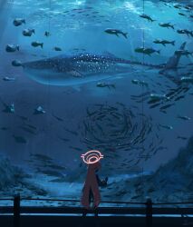 Rule 34 | 12cat, 1girl, absurdres, ahoge, aquarium, blue archive, fish, fish tank, from behind, halo, hand on glass, highres, hoshino (blue archive), long hair, long sleeves, pink hair, pink halo, school of fish, solo, standing, very long hair, whale shark