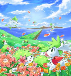 Rule 34 | :d, closed mouth, cloud, commentary request, creatures (company), d-nezumi, day, flower, game freak, gen 4 pokemon, grass, green eyes, legendary pokemon, mythical pokemon, nintendo, no humans, open mouth, outdoors, petals, pokemon, pokemon (creature), shaymin, shaymin (land), shaymin (sky), sky, smile, tongue, water