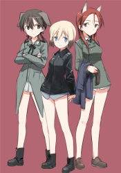 Rule 34 | 3girls, animal ears, blonde hair, blue eyes, blush, boots, brown eyes, brown hair, crossed arms, erica hartmann, gertrud barkhorn, long hair, military, military uniform, minna-dietlinde wilcke, multiple girls, no pants, panties, red background, shimada fumikane, short hair, simple background, smile, strike witches, twintails, underwear, uniform, world witches series