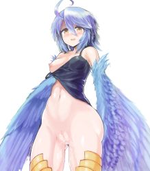 Rule 34 | 10s, 1girl, absurdres, ahoge, blue hair, blue wings, bottomless, breasts, clitoris, cowboy shot, feathered wings, gluteal fold, harpy, highres, kawasumi (tk2k jade), monster girl, monster musume no iru nichijou, navel, nipples, one breast out, open mouth, papi (monster musume), pussy, pussy juice, simple background, small breasts, solo, white background, winged arms, wings, yellow eyes