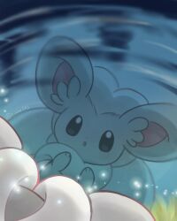 Rule 34 | chira (riiche573), cinccino, commentary request, creatures (company), day, game freak, gen 5 pokemon, grass, highres, looking down, nintendo, no humans, outdoors, pokemon, pokemon (creature), reflection, ripples, twitter username, water, watermark