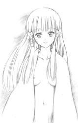 Rule 34 | 1girl, areola slip, breasts, ghost, long hair, looking at viewer, monochrome, murasame oshizu, navel, out-of-frame censoring, smile, solo, standing, tagme, to love-ru
