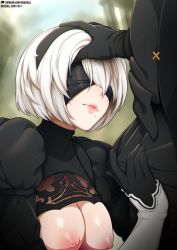 Rule 34 | 1boy, 1girl, black blindfold, black dress, black gloves, black headband, black pants, black sleeves, blindfold, breast cutout, breasts, covered eyes, dress, gloves, hand on another&#039;s head, hand on penis, headband, large breasts, lips, mole, mole under mouth, neocoill, nier (series), nier:automata, nipples, outdoors, pants, short hair, squatting, standing, turtleneck, watermark, web address, white hair, 2b (nier:automata), 9s (nier:automata)