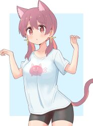 Rule 34 | 1girl, :o, animal ear fluff, animal ears, bare arms, bike shorts, blue background, breasts, brown eyes, brown hair, cat ears, cat girl, cat tail, collarbone, commentary, cowboy shot, es04b, extra ears, hair between eyes, hands up, highres, kemonomimi mode, light blush, long hair, looking at viewer, medium breasts, multicolored hair, murosaki miyo, onii-chan wa oshimai!, open mouth, red hair, shirt, short sleeves, simple background, solo, t-shirt, tail, two-tone hair, white shirt