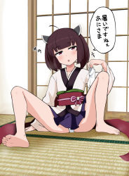 Rule 34 | 1girl, ahoge, arm support, barefoot, blunt bangs, blush, commentary request, flat chest, hand up, head tilt, highres, indoors, japanese clothes, kimono, legs, long sleeves, looking at viewer, medium hair, obi, on floor, panties, pantyshot, pleated skirt, purple eyes, purple hair, purple skirt, sash, satou (su9arsatou), sitting, skirt, sliding doors, soles, solo, speech bubble, spread legs, tabi, thighs, toes, touhoku kiritan, translation request, underwear, voiceroid, white kimono, white panties