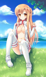 Rule 34 | 10s, 1girl, asuna (sao), bad id, bad pixiv id, bare shoulders, blush, breasts, brown eyes, brown hair, day, detached sleeves, fukase ayaka, grass, large breasts, long hair, long legs, looking at viewer, midriff, navel, open mouth, panties, raised eyebrows, sitting, sky, solo, sword art online, thighhighs, underwear, white panties, white thighhighs