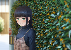 Rule 34 | 1girl, :d, alternate costume, bad id, bad pixiv id, black hair, black sweater, blunt bangs, blurry, blurry background, blurry foreground, blush, brown dress, casual, commentary request, day, depth of field, dress, fantastic departure!, green eyes, hair ornament, hairclip, hedge, kurosawa dia, long hair, looking away, looking down, love live!, love live! school idol festival, love live! sunshine!!, mole, mole under mouth, open mouth, outdoors, papi (papiron100), pinafore dress, plaid, plaid dress, signature, sleeveless dress, smile, solo, sweater, upper body
