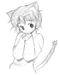 Rule 34 | 1girl, animal ears, cat ears, cat tail, graphite (medium), greyscale, own hands clasped, monochrome, own hands together, short hair, sketch, solo, sweater, taguchi makoto, tail, traditional media