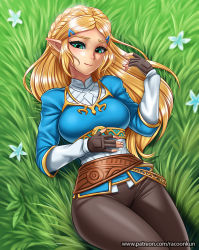 Rule 34 | 1girl, black gloves, blonde hair, blue shirt, braid, brown gloves, brown pants, closed mouth, day, fingerless gloves, fingernails, flower, french braid, gloves, grass, green eyes, hair ornament, hairclip, long hair, long sleeves, looking at viewer, lying, nintendo, on back, outdoors, pants, parted bangs, pointy ears, princess zelda, racoon-kun, shirt, smile, solo, the legend of zelda, the legend of zelda: breath of the wild, tight clothes, tight pants
