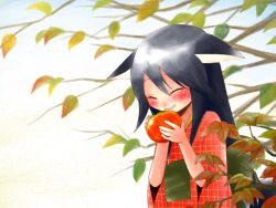 Rule 34 | animal ears, black hair, blush, food, fruit, grin, japanese clothes, persimmon, smile, tomato, wallpaper, yusorate