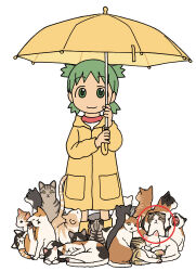 Rule 34 | 1girl, animal, annotated, azuma kiyohiko, black cat, boots, calico, cat, circle, circled, closed mouth, commentary, cover, cover page, full body, green eyes, green hair, holding, holding umbrella, koiwai yotsuba, looking at viewer, official art, orange cat, promotional art, quad tails, raincoat, raised eyebrows, red shirt, rubber boots, scottish fold, scratching, shirt, short hair, simple background, sitting, slit pupils, smile, solo, standing, straight-on, t-shirt, tabby cat, textless version, too many, too many cats, two-handed, two-tone shirt, umbrella, white background, white cat, white shirt, yawning, yellow footwear, yellow raincoat, yellow umbrella, yotsubato!