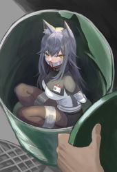 Rule 34 | 1boy, 1girl, angry, animal ear fluff, animal ears, arknights, barrel, black pantyhose, blood, blue hair, bound, bruise, bruise on face, capelet, collared capelet, gag, gagged, highres, id card, improvised gag, in container, injury, long hair, looking at viewer, nosebleed, pantyhose, raftetram, ryona, solo focus, tape, tape bondage, tape gag, texas (arknights), yellow eyes
