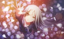 Rule 34 | 1girl, arm up, black shirt, blue eyes, blue jacket, carnation, colorful festival (project sekai), colorful palette, falling petals, floating hair, flower, from above, hair between eyes, highres, jacket, long hair, long sleeves, looking at viewer, looking up, official art, parted lips, partially unzipped, petals, project sekai, reaching, reaching towards viewer, rose, shadow, shirt, sidelocks, solo, sunlight, third-party source, thorns, track jacket, very long hair, white flower, white hair, white rose, yoisaki kanade