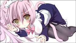 Rule 34 | 1girl, amanagi seiji, animal ears, blush, breasts, cat ears, cat girl, cat tail, female focus, large breasts, long hair, looking at viewer, lying, maid, maid headdress, on side, open mouth, original, pantyhose, pink hair, simple background, solo, subaru (insmode), tail, white background, yellow eyes