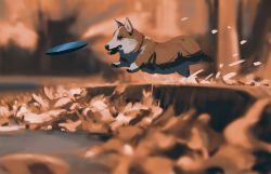 Rule 34 | animal focus, autumn, autumn leaves, dog, frisbee, leaf, no humans, orange fur, original, outdoors, running, snatti, two-tone fur, welsh corgi, white fur