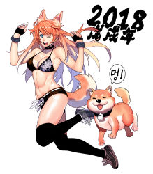 Rule 34 | 1girl, 2018, :d, animal ears, armpit peek, armpits, bikini, black bikini, black gloves, black thighhighs, blue eyes, bracelet, breasts, chinese zodiac, choker, cleavage, collar, dog, dog ears, dog tail, fingerless gloves, full body, gloves, grey footwear, jewelry, korean text, long hair, looking at viewer, medium breasts, micro shorts, navel, one eye closed, open mouth, orange hair, original, psychicjin, shoes, short shorts, shorts, smile, sneakers, solo, swimsuit, tail, thighhighs, translation request, year of the dog