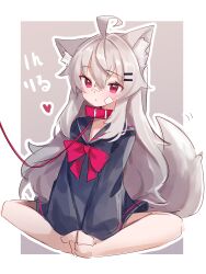 Rule 34 | 1girl, absurdres, ahoge, animal ear fluff, animal ears, bandaid, bandaid on face, black dress, blush, bow, bowtie, collar, dress, grey hair, hair between eyes, hair ornament, hairclip, highres, indian style, leash, long hair, original, red bow, red bowtie, red collar, red eyes, rir-chan, sailor dress, simple background, sitting, six box, sketch, solo, tail, wolf ears, wolf girl, wolf tail