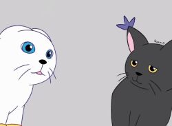 Rule 34 | animated, black cat, blacktailmon, blue eyes, cat, digimon, digimon (creature), looking at another, meme, sound, tailmon, video, white cat, yellow eyes