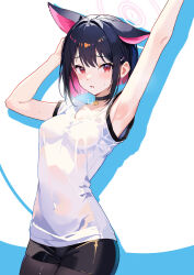 Rule 34 | 1girl, alternate costume, animal ears, arm behind head, arm up, black hair, black pantyhose, black shorts, blue archive, blunt bangs, cat ears, cat girl, colored inner hair, commentary request, extra ears, gym shirt, gym shorts, gym uniform, hair ornament, hairclip, halo, highres, kazusa (blue archive), looking at viewer, multicolored hair, pantyhose, parted lips, red eyes, rorokaede, shirt, short hair, short shorts, short sleeves, shorts, sidelocks, simple background, solo, stretching, sweatdrop, two-tone background, two-tone hair, white shirt