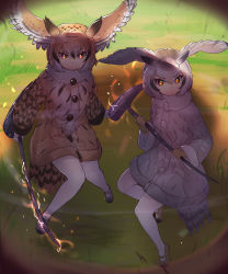 Rule 34 | 2girls, bird tail, black hair, brown coat, brown hair, coat, commentary request, eurasian eagle owl (kemono friends), fur collar, gloves, glowing, glowing weapon, grass, grey coat, hair between eyes, head wings, highres, kemono friends, long sleeves, looking at viewer, multicolored hair, multiple girls, northern white-faced owl (kemono friends), orange eyes, outdoors, pantyhose, shadow, short hair, tadano magu, tail, v-shaped eyebrows, weapon, white gloves, white hair, white legwear, wings, yellow gloves