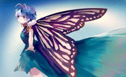 Rule 34 | 1girl, ainy, blue hair, butterfly wings, eternity larva, hidden star in four seasons, highres, insect wings, night, night sky, sky, solo, star (symbol), touhou, wings