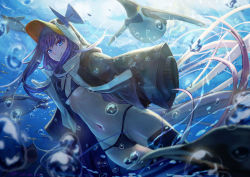 Rule 34 | 1girl, air bubble, animal hood, bikini, bird, black bikini, black coat, blue eyes, blurry, blurry foreground, breasts, bubble, closed mouth, coat, commentary request, day, depth of field, fate/grand order, fate (series), hood, hood up, long hair, long sleeves, looking at viewer, meltryllis, meltryllis (fate), meltryllis (swimsuit lancer) (fate), meltryllis (swimsuit lancer) (first ascension) (fate), navel, ocean, open clothes, open coat, penguin, penguin hood, purple hair, sakumichi, sleeves past fingers, sleeves past wrists, small breasts, smile, string bikini, submerged, swimming, swimsuit, thighhighs, underwater, very long hair, water, white thighhighs