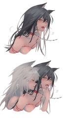 Rule 34 | 2girls, absurdres, animal ears, arknights, bdsm, black hair, blue eyes, breasts, breath, chinese commentary, collar, commentary request, cookie (ppyf5328), cropped torso, ear piercing, fangs, female focus, finger in another&#039;s mouth, highres, lappland (arknights), leash, long hair, looking at another, multiple girls, multiple views, nude, open mouth, orange eyes, piercing, profile, saliva, shibari, silver hair, simple background, slit pupils, small breasts, sweat, tearing up, tears, texas (arknights), tongue, tongue out, upper body, white background, wolf ears, yuri