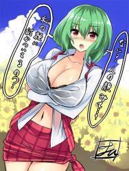 Rule 34 | 1girl, black bra, blush, bra, breast hold, breasts, buttons, check translation, cleavage, cloud, collarbone, collared shirt, commentary request, cowboy shot, crossed arms, day, flower, green hair, hair between eyes, kazami yuuka, large breasts, long sleeves, looking at viewer, navel, nose blush, open mouth, outdoors, red eyes, red skirt, red vest, shirt, short hair, skirt, sleeveless, solo, speech bubble, sweat, tied skirt, tirotata, touhou, translation request, underwear, vest, white shirt