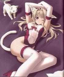 Rule 34 | animal ears, blonde hair, blue eyes, blush, cat, cat ears, cat tail, duplicate, elbow gloves, gloves, hashimoto takashi, high heels, kittysuit, leotard, nontraditional playboy bunny, one eye closed, shoes, solo, tail, thighhighs, watermark, wink