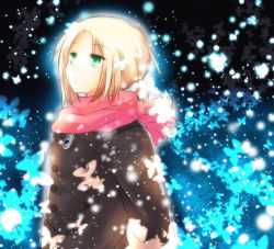 Rule 34 | androgynous, aplerichi, axis powers hetalia, bad id, bad pixiv id, blonde hair, bug, butterfly, gender request, green eyes, bug, looking up, poland (hetalia), scarf, short hair, snow, solo