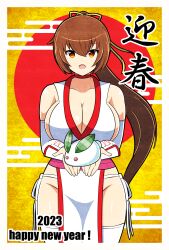 Rule 34 | 1girl, absurdres, breasts, dead or alive, gians noby, highres, kasumi (doa), large breasts, ponytail, rabbit