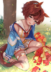 Rule 34 | 1girl, :d, animal ears, blouse, blue jacket, brown eyes, brown hair, commentary request, crop top, day, flower, highres, horse ears, horse girl, horse tail, jacket, long sleeves, masshirokachi, midriff, multicolored hair, nail polish, navel, nice nature (run&amp;win) (umamusume), nice nature (umamusume), no shoes, off shoulder, on grass, open clothes, open jacket, open mouth, outdoors, pom pom (cheerleading), ponytail, puffy long sleeves, puffy sleeves, red footwear, shirt, shoes, unworn shoes, sitting, skirt, sleeves past wrists, smile, socks, solo, streaked hair, sweat, tail, tree, umamusume, white background, white flower, white shirt, white skirt, white socks, yellow flower, yellow nails, yokozuwari
