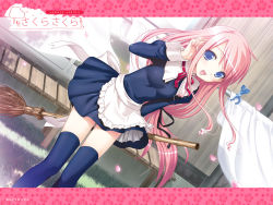 Rule 34 | blush, long hair, maid, sakura nanako, sakura sakura, skirt, thighhighs, uniform, wallpaper