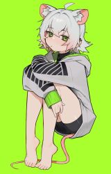 Rule 34 | 1girl, ahoge, animal ear fluff, animal ears, arms on knees, bare legs, bike shorts, black shirt, blush, closed mouth, commentary, crossed arms, crossed bangs, ear piercing, feet, full body, green background, green eyes, grey hair, grey hoodie, hair between eyes, highres, hood, hood down, hoodie, hugging own legs, jewelry, knees up, long sleeves, looking at viewer, mouse ears, mouse girl, mouse tail, original, perl (vertigris), piercing, shirt, short hair, sidelocks, simple background, sitting, sleeves past wrists, solo, symbol-only commentary, tail, toes, turtleneck, vertigris