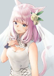 Rule 34 | 1girl, animal ears, warrior of light (ff14), blue eyes, breasts, cat ears, cat girl, cat tail, cleavage, cleavage cutout, closed mouth, clothing cutout, commentary request, dress, final fantasy, final fantasy xiv, flower, grey background, hair flower, hair ornament, hand up, heterochromia, long hair, looking at viewer, midorikawa you, miqo&#039;te, mole, mole under mouth, pink hair, purple eyes, rose, see-through, simple background, sleeveless, sleeveless dress, small breasts, smile, solo, tail, tail raised, upper body, veil, white dress, white flower, white rose, wrist cuffs