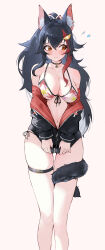Rule 34 | 1girl, absurdres, animal ears, bare shoulders, bikini, black hair, black jacket, blush, breasts, cleavage, closed mouth, clothes pull, commentary request, highres, hololive, jacket, large breasts, looking to the side, menomeno draw, multicolored bikini, multicolored clothes, multicolored hair, off shoulder, official alternate costume, ookami mio, ookami mio (hololive summer 2019), partially unzipped, pulled by self, red hair, simple background, solo, standing, streaked hair, swimsuit, tail, tail around own leg, thigh strap, thighs, virtual youtuber, white background, wolf ears, wolf girl, wolf tail