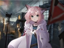 Rule 34 | 1girl, :o, animal, animal ear fluff, animal ears, arknights, black choker, blue shirt, blurry, blurry background, blurry foreground, bug, butterfly, choker, cloud, cloudy sky, collarbone, commentary request, depth of field, fox ears, gaoguidexiaoji0402, gloves, green eyes, insect, jacket, long sleeves, looking at viewer, open clothes, open jacket, outdoors, parted lips, pink hair, shirt, sky, solo, sussurro (arknights), white gloves, white jacket, wide sleeves