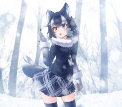 Rule 34 | 10s, 1girl, animal ears, between breasts, black hair, black thighhighs, blue eyes, blush, breast pocket, breasts, day, fang, forest, fur collar, gloves, grey wolf (kemono friends), heterochromia, highres, holding, holding pencil, kakutasu (akihiron cactus), kemono friends, long sleeves, medium breasts, multicolored hair, nature, necktie, necktie between breasts, open mouth, orange eyes, outdoors, pencil, plaid, plaid skirt, pocket, silver hair, skirt, snow, snowing, solo, standing, tail, thighhighs, white gloves, wolf ears, wolf tail