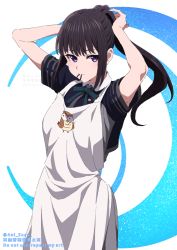 Rule 34 | 1girl, aoi suzu, apron, arms up, black hair, closed mouth, collared shirt, commentary request, dress, green ribbon, grey dress, hair tie in mouth, highres, inoue takina, long hair, lycoris recoil, lycoris uniform, mouth hold, neck ribbon, official alternate hairstyle, ponytail, purple eyes, ribbon, school uniform, shirt, short dress, solo, two-tone dress, tying hair, white apron, white shirt