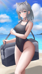 Rule 34 | 1girl, absurdres, animal ear fluff, animal ears, bag, beach, black one-piece swimsuit, blue archive, blue eyes, breasts, competition swimsuit, covered navel, cross hair ornament, extra ears, feet out of frame, grey hair, hair ornament, halo, highres, horizon, last, low ponytail, medium breasts, medium hair, mismatched pupils, multicolored clothes, multicolored swimsuit, ocean, official alternate costume, one-piece swimsuit, shiroko (blue archive), shiroko (swimsuit) (blue archive), solo, standing, swimsuit, wolf ears
