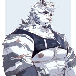 Rule 34 | 1boy, abs, animal ears, arknights, bara, bare pectorals, chest hair, chest harness, fluffy, from side, furry, furry male, harness, highres, large pectorals, looking to the side, maiyabuhantang, male focus, mountain (arknights), muscular, muscular male, nipples, pectorals, scar, scar across eye, scar on arm, scar on chest, scar on face, short hair, solo, stomach, tiger boy, tiger ears, upper body, white fur, white hair