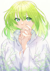 Rule 34 | 1other, akapug621, androgynous, bad id, bad pixiv id, enkidu (fate), fate/grand order, fate/strange fake, fate (series), flower, green eyes, green hair, hand on own face, robe