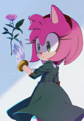 Rule 34 | 1girl, alternate costume, amy rose, animal ears, animal nose, bracelet, closed mouth, collared dress, dress, eyelashes, flower, furry, furry female, gloves, gold bracelet, green dress, green eyes, grey background, hairband, hand up, hedgehog ears, hedgehog girl, highres, jewelry, konjiki ringo, leaf, long sleeves, looking to the side, pink flower, pink fur, pink rose, red hairband, rose, simple background, solo, sonic (series), standing, white background, white gloves