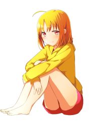 Rule 34 | 1girl, aabtcndneefkg, barefoot, blonde hair, full body, highres, hood, hood down, hooded jacket, hugging own legs, jacket, long sleeves, looking at viewer, love live!, love live! sunshine!!, red eyes, red shorts, short hair, short shorts, shorts, simple background, sitting, smile, solo, takami chika, white background, yellow jacket