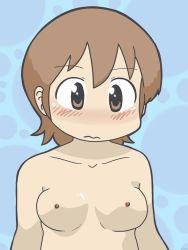 Rule 34 | aioi yuuko, blush, breasts, highres, nichijou, nipples
